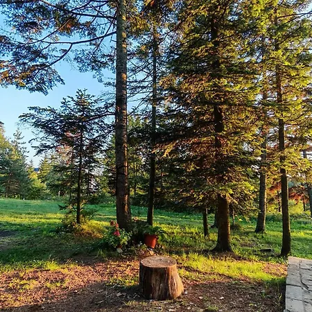 Kuca U Prirodi * Divčibare