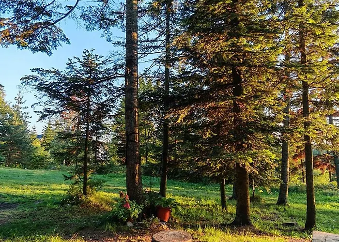 Kuca U Prirodi * Divčibare